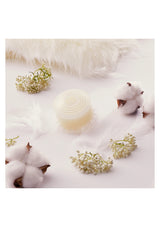 BODYLUV Vita Pure Filter in baby powder scent