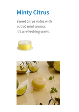 Vita Pure minty citrus scent description and exact filter