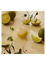 BODYLUV Vita Pure Filter in minty citrus scent