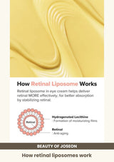 Beauty of Joseon Revive Eye Serum: Ginseng + Retinal: How retinal liposomes work.