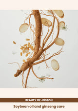 Beauty of Joseon Ginseng Cleansing Oil: Soybean oil and ginseng care.