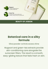 Beauty of Joseon Matte Sun Stick: Mugwort + Camelia SPF50+ PA++++: ingredients — Botanical care in a silky formula.