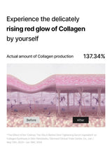 CELIMAX retinol serum — The ingredient study