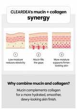 CLEARDEA mucin and collagen synergy illustrated for hydrated, smoother-looking skin