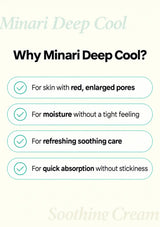 Who can use CLEARDEA Minari Deep Cool Soothing Cream: enlarged pores, dry-feeling skin and lightweight moisture needs