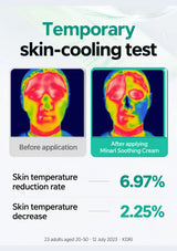 Original thermal photographs and CLEARDEA temporary skin-cooling test results