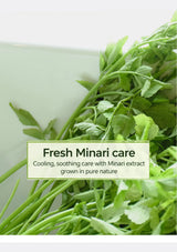 Original fresh Minari photograph and cooling, soothing ingredient care