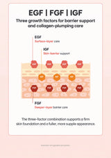 CLEARDEA Mucin Collagen EGF Fitting Mask: growth factor skin layer diagram