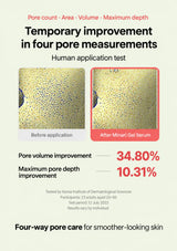 Original pore scans and temporary test results: pore volume 34.80% and maximum pore depth 10.31%
