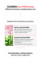 CLEARDEA dual-PDRN structure and lasting moisture benefits