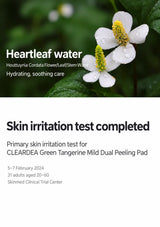 Heartleaf water and the completed skin irritation test, 5–7 February 2024, 31 adults