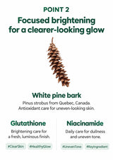 White pine bark, glutathione and niacinamide brightening care