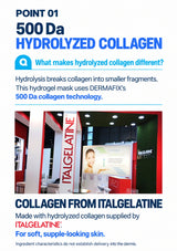 Hyal Collagen — 500 Da hydrolyzed collagen technology and genuine ITALGELATINE supplier photograph