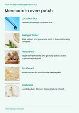 FROM THE SKIN Wrinkle Lifting Patch — Ferments, basil, ginseng, panthenol and edelweiss