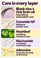 Airyfit sunscreen key ingredients: black rice, ceramide NP, heartleaf, adenosine and niacinamide