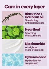 Mineral Relief ingredients: black rice and rice bran oil, heartleaf, niacinamide and hyaluronic acid with their skincare benefits.