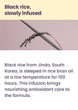 Jindo black rice used in Airyfit sunscreen's 100-hour rice bran oil infusion