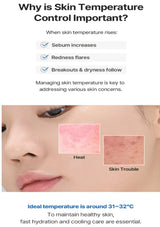 Diagram explaining the importance of skin temperature control with text and images of skin conditions.