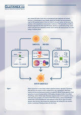 Scientific diagram on a white background with text and graphics related to cancer cell death and glutamine function.
