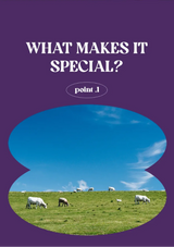 Sheep grazing on a grassy field with a blue sky, framed by a purple border with text.