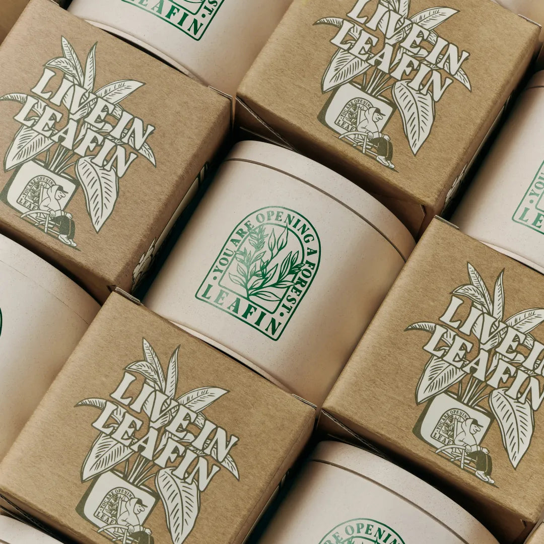 LEAFIN solid deodorisers in kraft paper packaging with green botanical branding