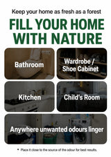 An informational product graphic for a natural odor absorber. The white background features bold green text reading 'FILL YOUR HOME WITH NATURE' and smaller black text above saying 'Keep your home as fresh as a forest'.