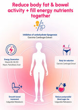 An infographic with a white human silhouette centered on a pink-to-red gradient background, showing text callouts about Garcinia Cambogia extract benefits: inhibition of carbohydrate-lipogenesis, body fat reduction, smooth bowel movement, and reduction of postprandial blood sugar rise.