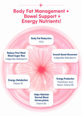 A pink promotional infographic with a large translucent pink circular graphic and red headline text reading 'Body Fat Management + Bowel Support + Energy Nutrients!'. Five white rounded boxes around the center list benefits such as body fat reduction, smooth bowel movement, energy metabolism, energy production, and help maintain normal blood sugar and hemoglobin.