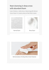 LAGOM Cellup Micro Foam Cleanser normal foam comparison and use demonstration