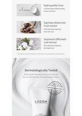 LAGOM Cellup Micro Foam Cleanser key ingredients and dermatological test