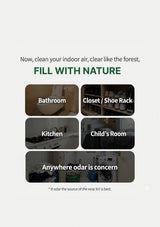 Advertisement for air freshening products with images of different rooms and text promoting 'Fill with Nature'.