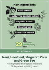 NUMBUZIN No.7 key botanicals including noni heartleaf mugwort cica and green tea