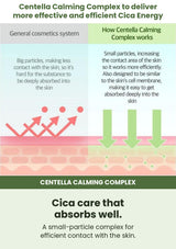 Numbuzin No.2 Centella Calming Complex absorption and skin-contact illustration