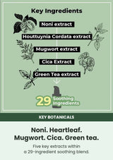 NUMBUZIN No.7 key botanicals including noni heartleaf mugwort cica and green tea