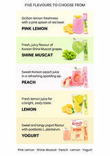 TEAZEN Kombucha flavour guide: Pink Lemon, Shine Muscat, Peach, Lemon and Yogurt