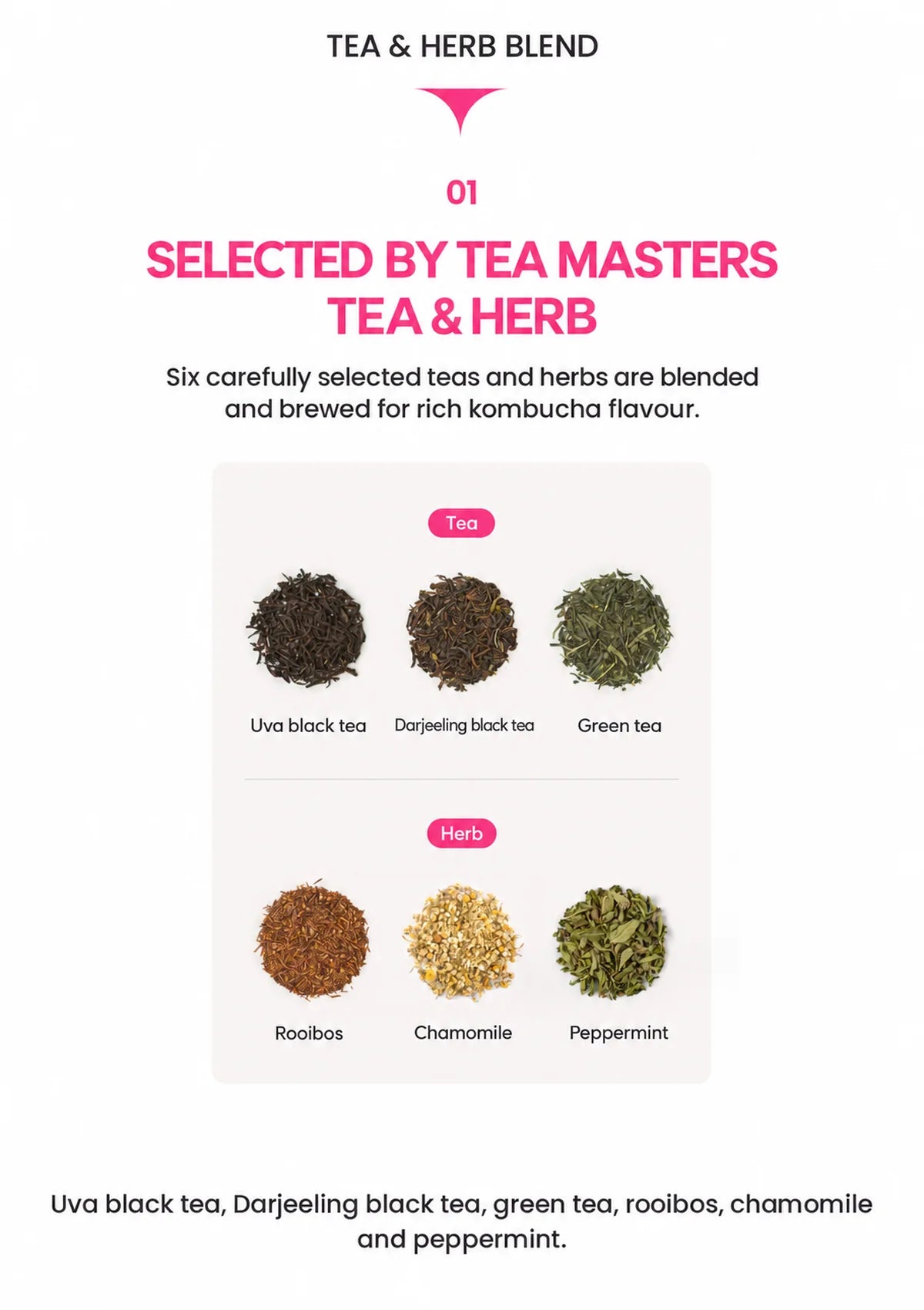 TEAZEN Kombucha base with six teas and herbs