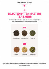 TEAZEN Kombucha six-tea and herb blend: Uva, Darjeeling, green tea, rooibos, chamomile and peppermint