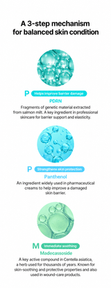 THOME PPM Barrier Serum – PDRN, panthenol and madecassoside ingredient guide (English)