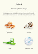 An informational graphic titled 'Point.6 Double Hydration Recipe' on a pale cream background.
