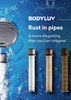 [BODYLUV] PureSome Showerhead Replacement Filter